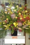 15000円(税別)
開店祝い スタンド花(名古屋の花屋さん)