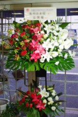 IMGP4404 フラスタ (名古屋 花屋)
