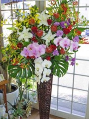 IMGP5077 フラワースタンド (名古屋 花屋)